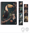 Gıpta A4 Defter Natura Defter Spiralli 80Yp Kareli