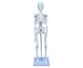 Emin İskelet Sistemi 45cm EM5118