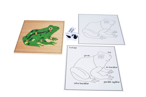Puzzle Hayvanlar(Kurbağa) - Doğal Ahşap Montessori Eğitim Aracı