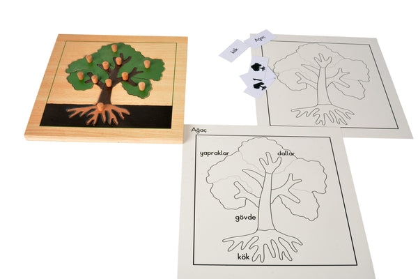 Puzzle Bitkiler(Ağaç)Çalışma kartları - Görsel 2