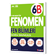Fenomen FENOMEN 6 TÜRKÇE SORU BANKASI (B)
