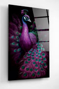 Tavus Kuşu Cam Tablo, Dekoratif Cam Tablo