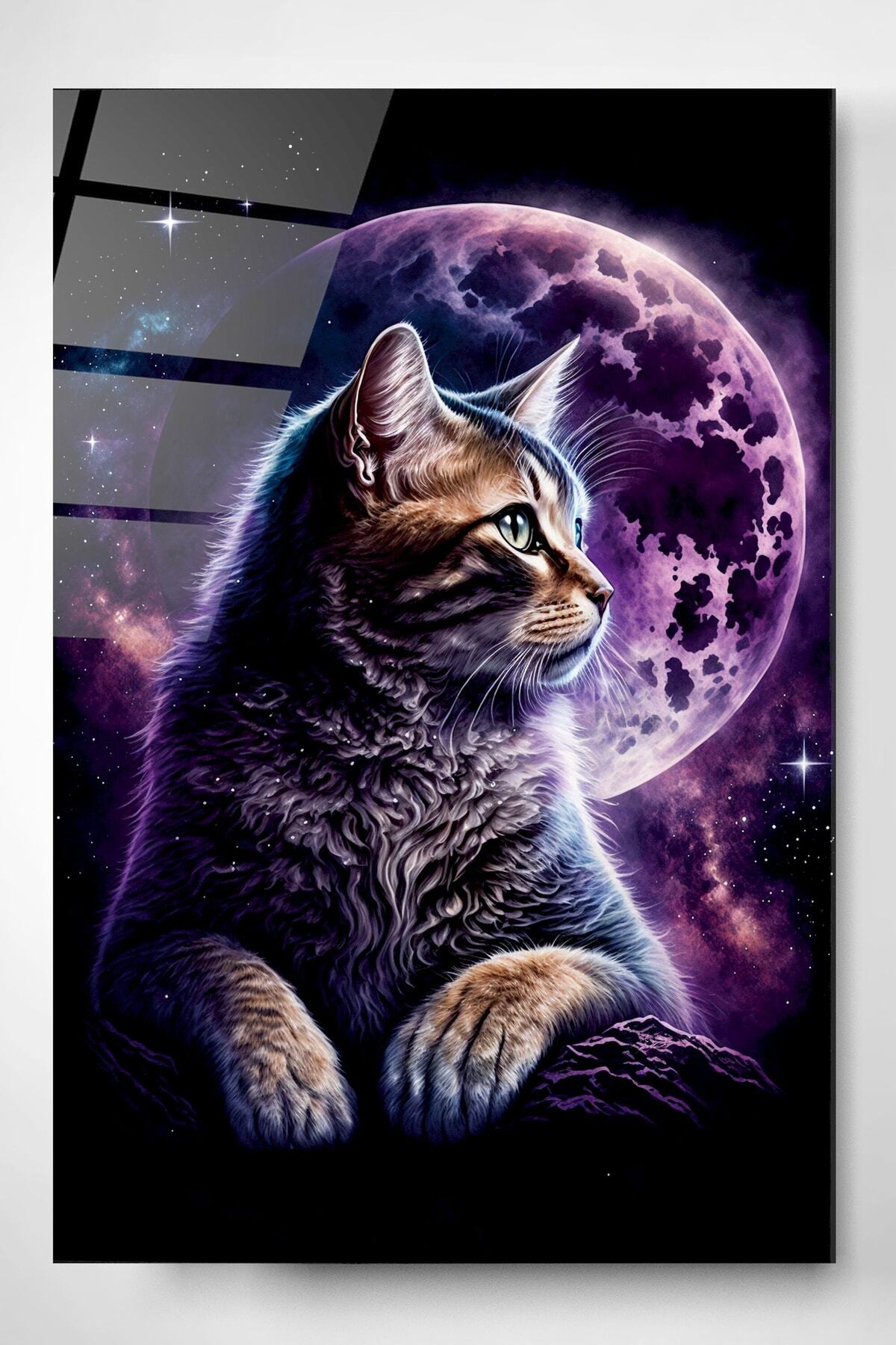 Kedi Ve Dolunay Cam Tablo, Dekoratif Cam Tablo