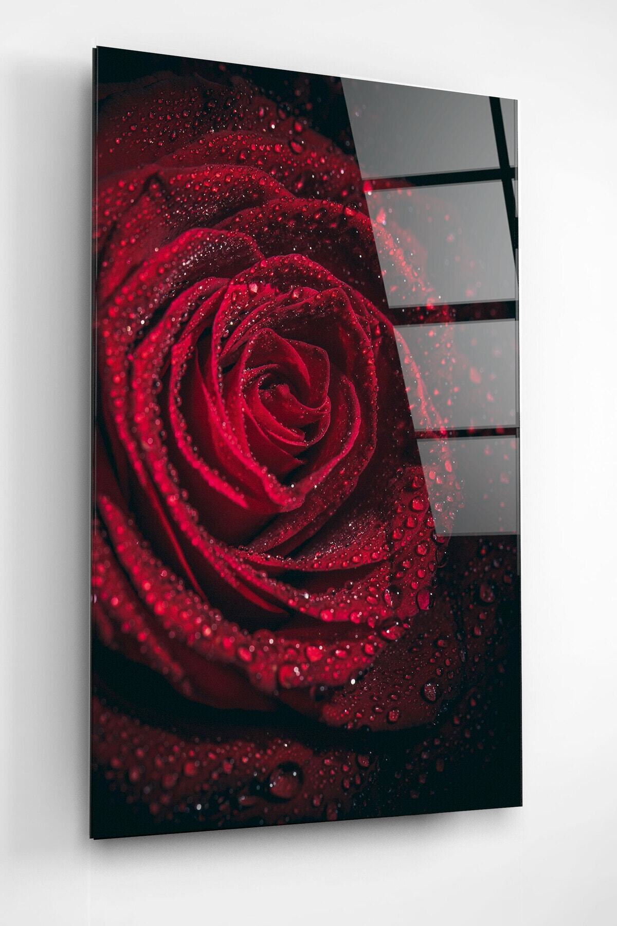 Rose Cam Tablo, Dekoratif Cam Tablo