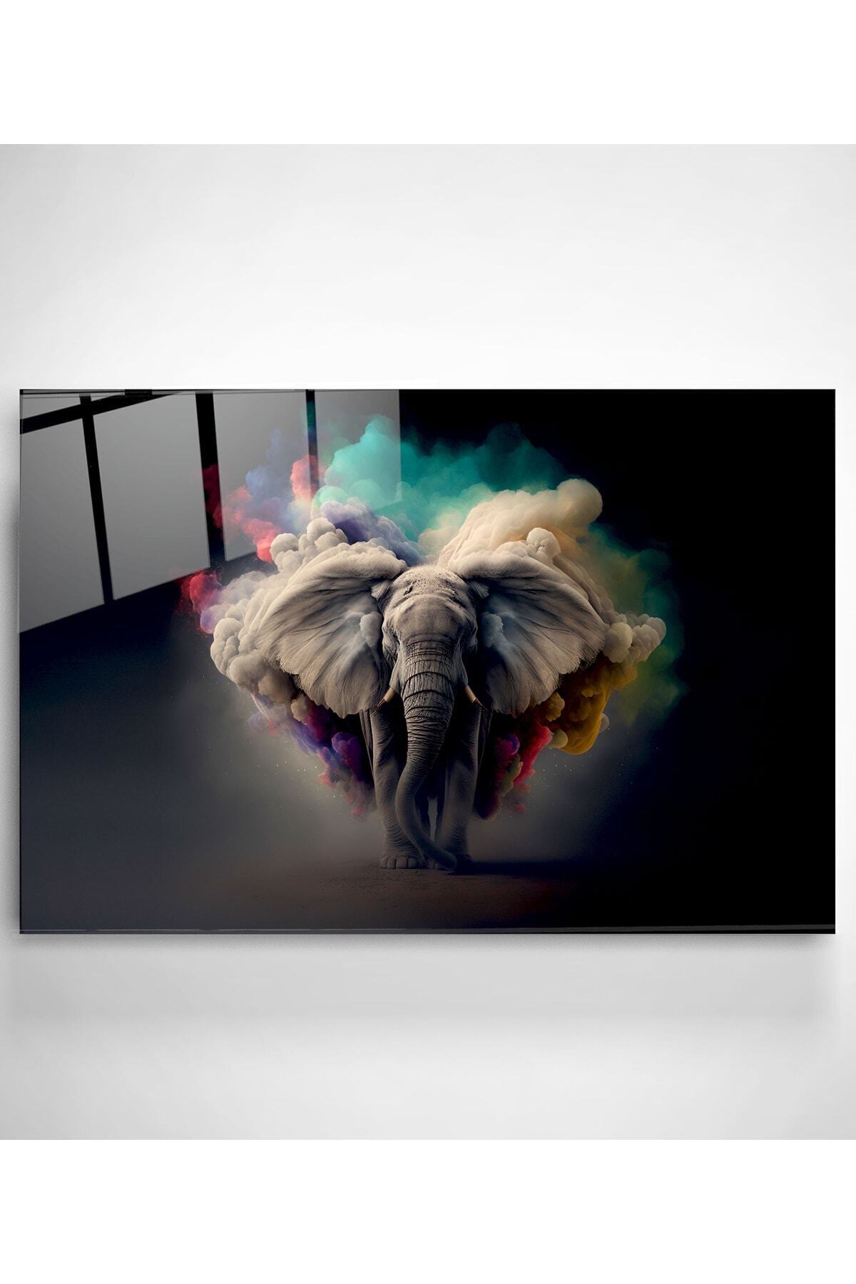 Dekoratif Colorful Elephant Dekoratif Cam Tablo (30 x 50)