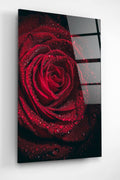 Rose Cam Tablo, Dekoratif Cam Tablo