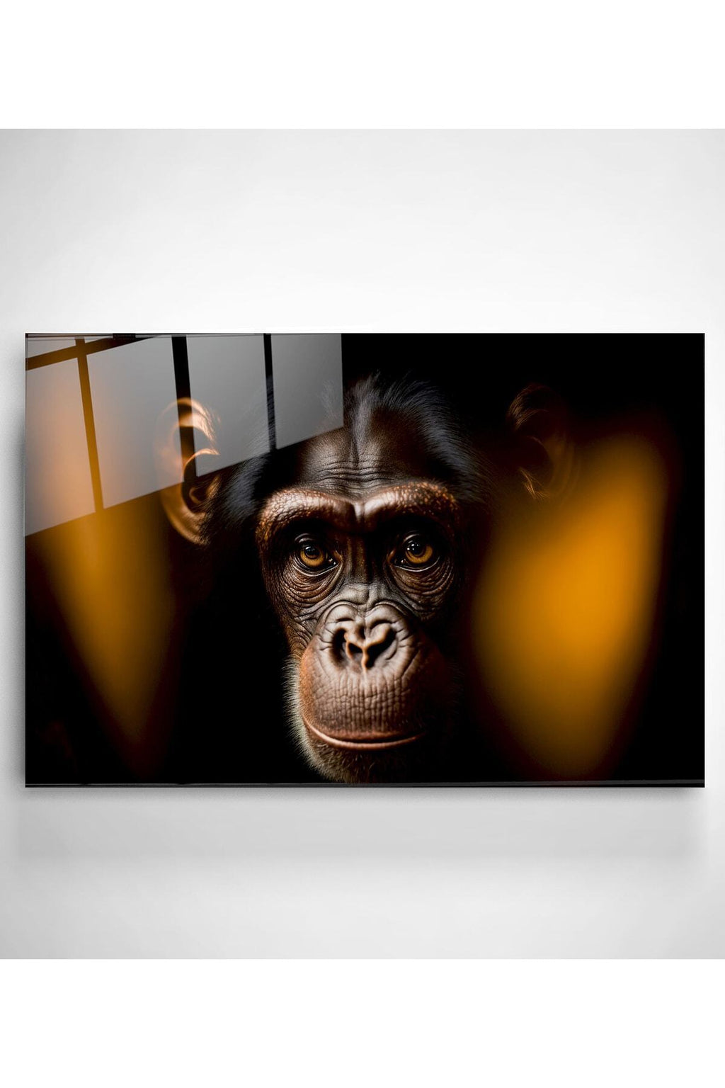 Monkey Cam Tablo, Dekoratif Cam Tablo