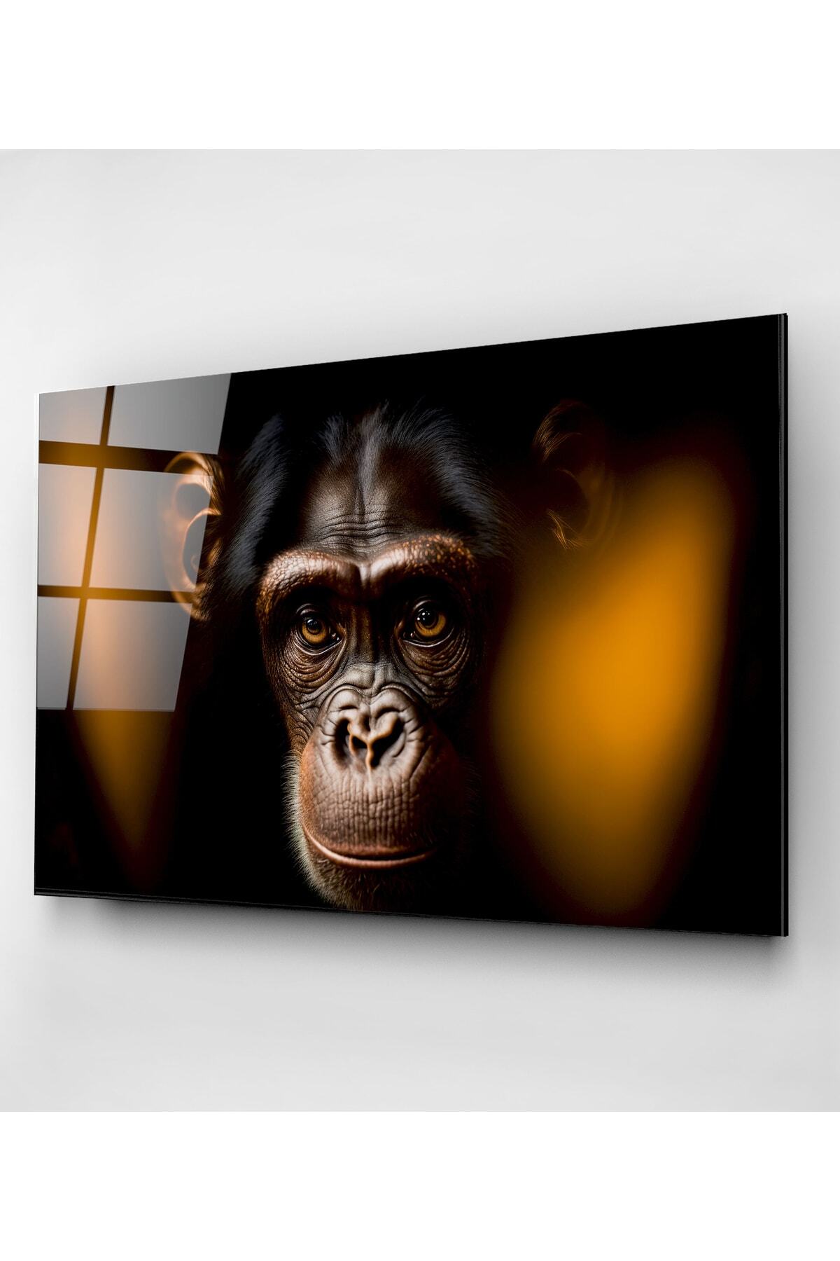 Monkey Cam Tablo, Dekoratif Cam Tablo