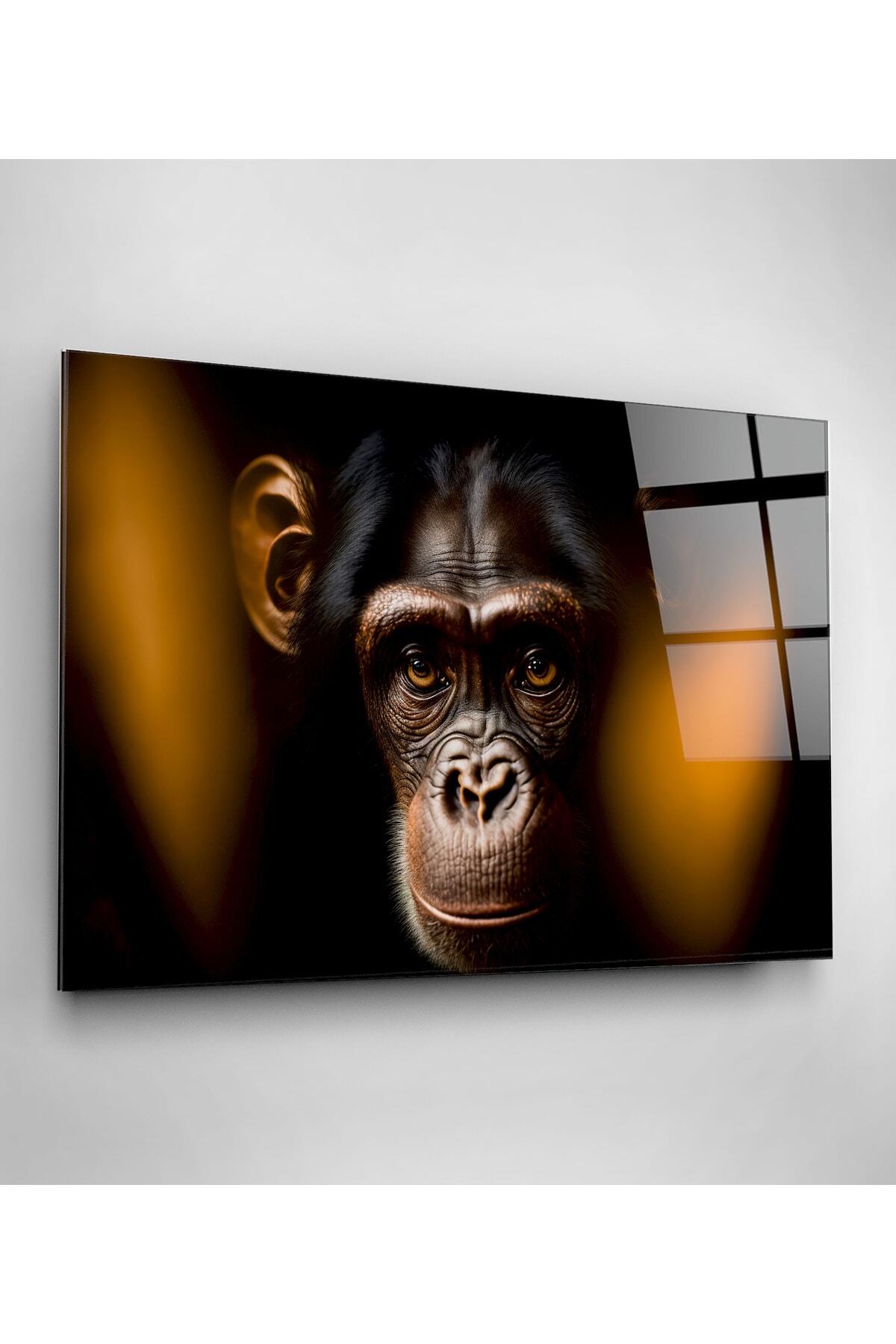 Monkey Cam Tablo, Dekoratif Cam Tablo