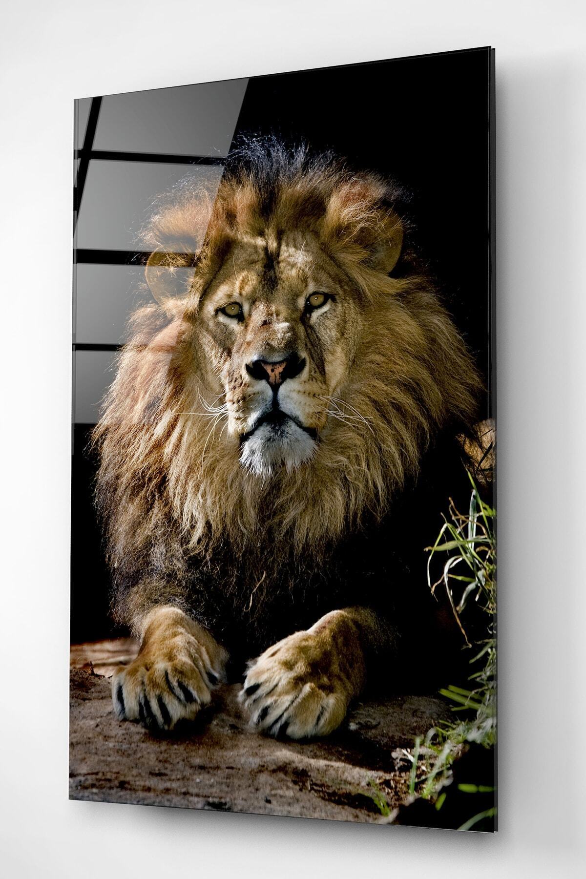Aslan Cam Tablo, Dekoratif Cam Tablo