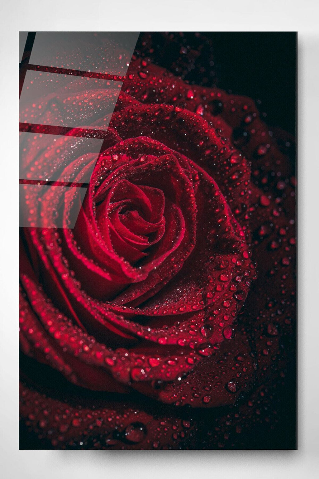 Rose Cam Tablo, Dekoratif Cam Tablo (30 x 50)