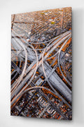 Los Angeles Cam Tablo, Dekoratif Cam Tablo