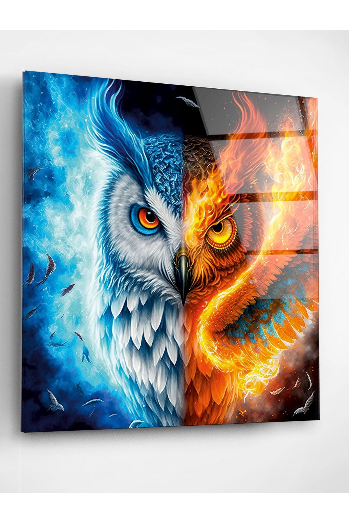 Baykuş Cam Tablo, Dekoratif Cam Tablo (100 x 150)