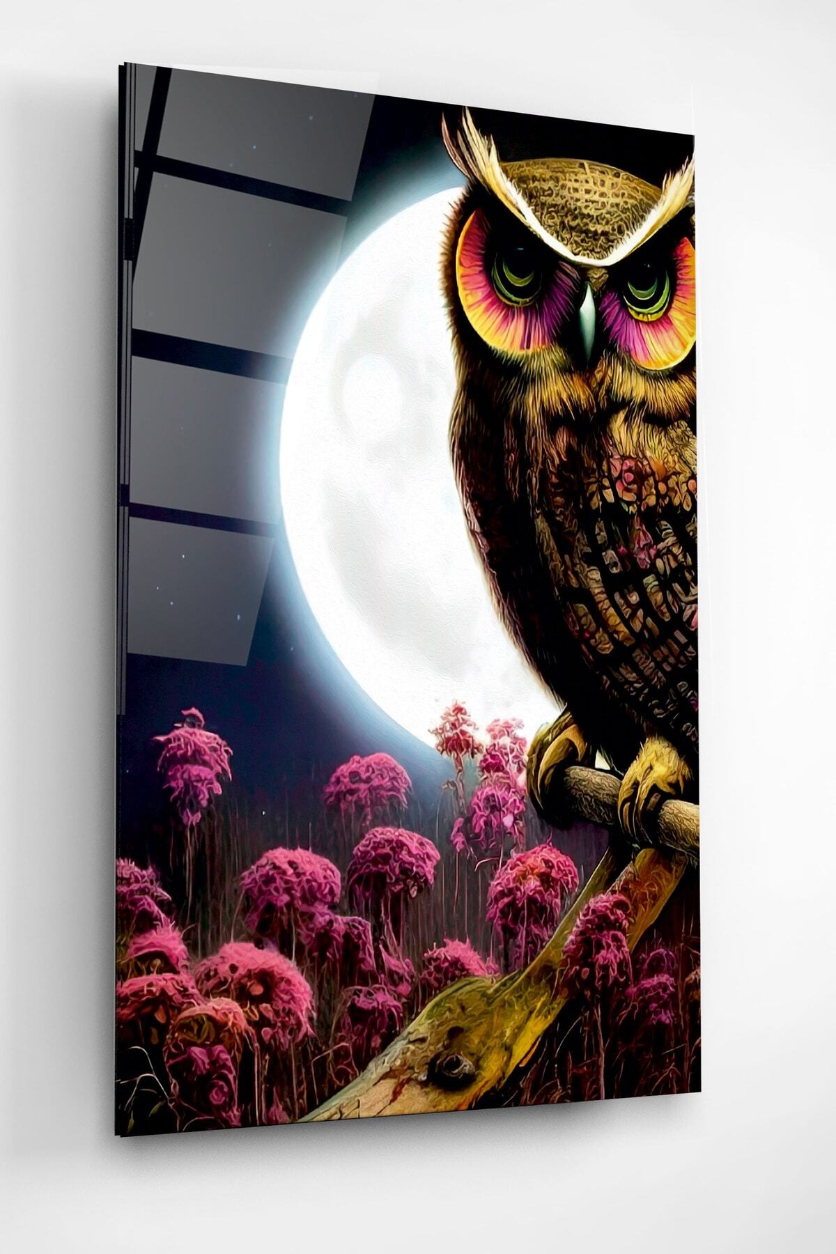 Dolunay Ve Baykuş Cam Tablo, Dekoratif Cam Tablo (80 x 120)