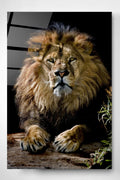 Aslan Cam Tablo, Dekoratif Cam Tablo