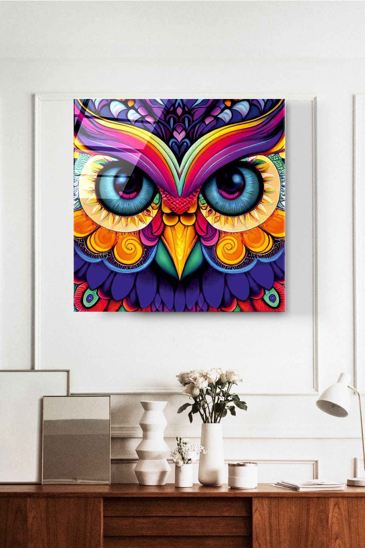Renk Cümbüşü Baykuş Cam Tablo, Dekoratif Cam Tablo (50 x 50)