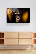 Monkey Cam Tablo, Dekoratif Cam Tablo