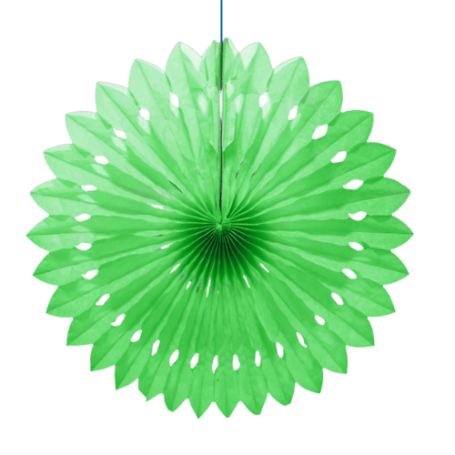 Brş Pelur Yelpaze Geniş 30Cm