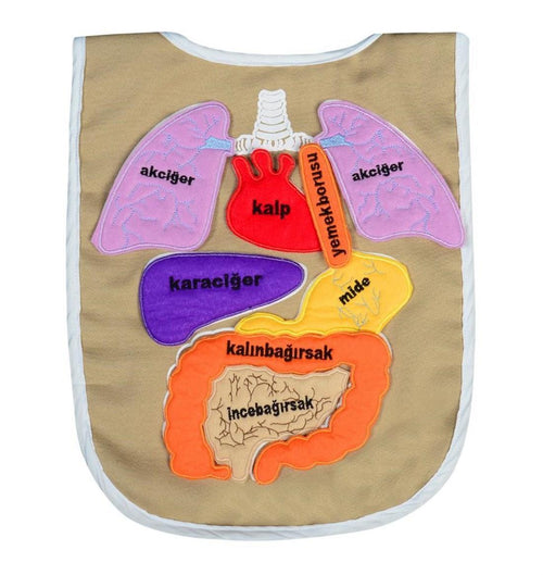 Anki Cırtlı Eğitici Organ Önlüğü And-5011