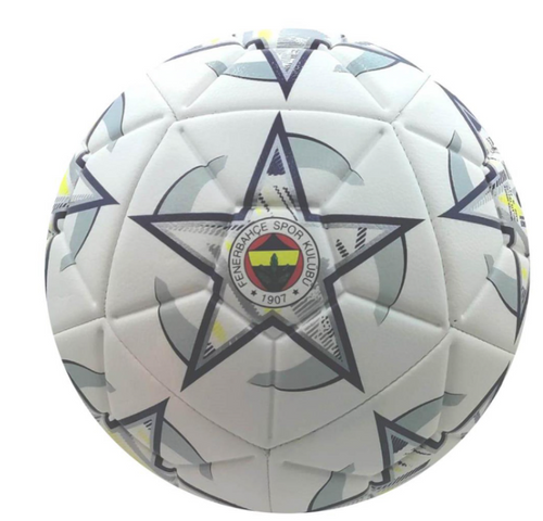 Tmn Fenerbahçe Futbol Topu Match No:5