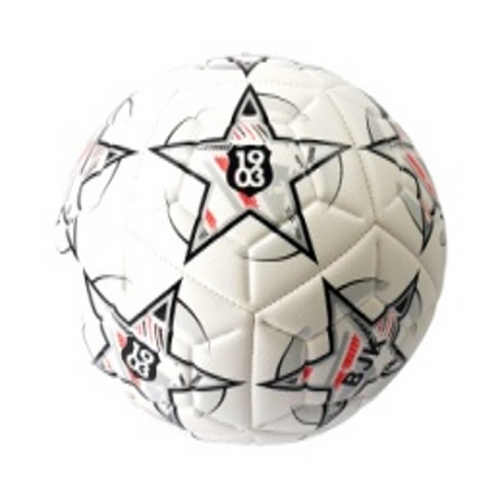 Tmn Beşiktaş Futbol Topu Match No:5