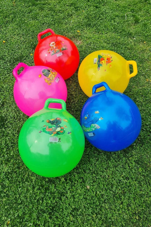 Can Sport Zıp Zıp Top BSZ-65