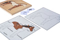 Puzzle Hayvanlar(At)