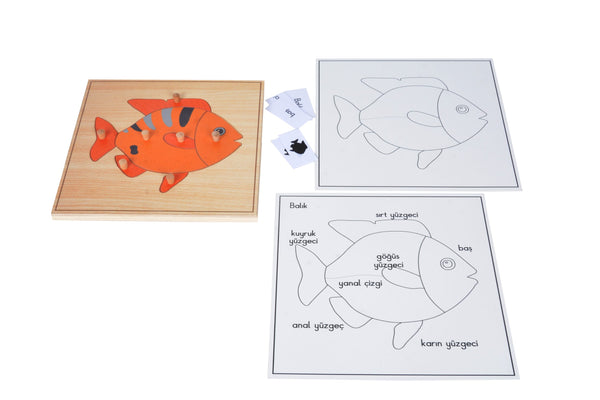 Puzzle Hayvanlar(Balık) - Doğal Ahşap Montessori Eğitim Aracı