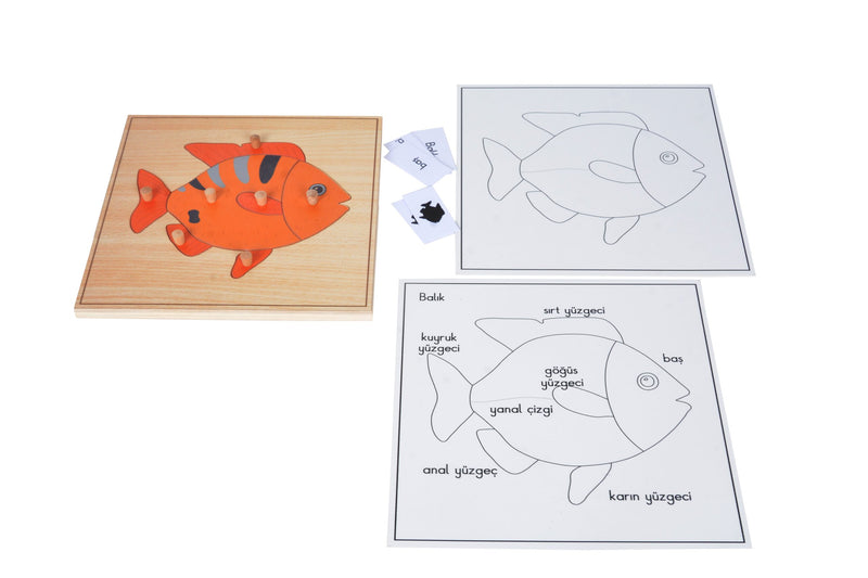 Puzzle Hayvanlar(Balık)