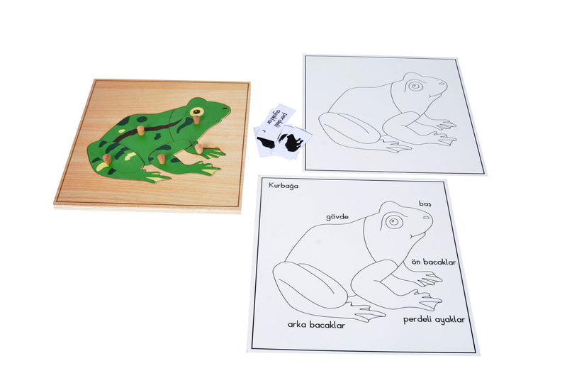 Puzzle Hayvanlar(Kurbağa)