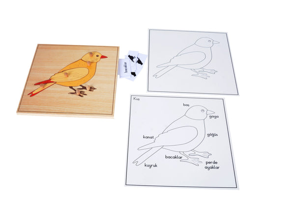 Puzzle Hayvanlar(Kuş) - Görsel 2