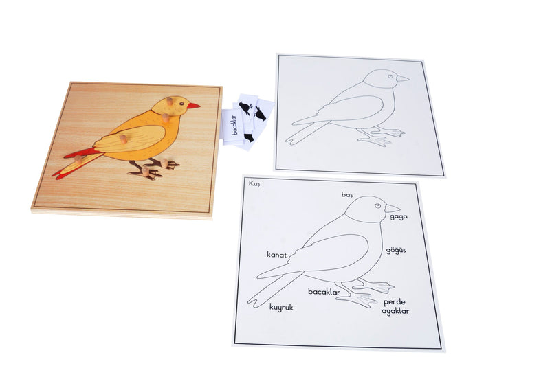 Puzzle Hayvanlar(Kuş)