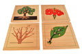 Puzzle bitkiler(Standlı)Ve Çalışma kartları(Kutulu)