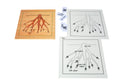 Puzzle Bitkiler(Ağaç Kökü)Çalışma kartları