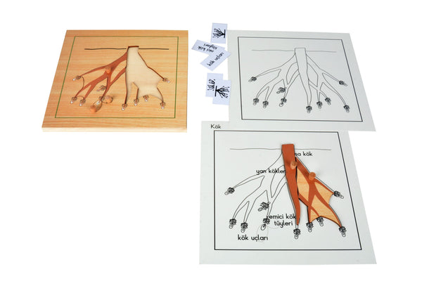 Puzzle Bitkiler(Ağaç Kökü)Çalışma kartları - Görsel 2