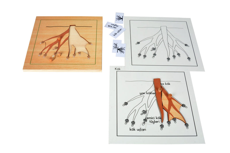 Puzzle Bitkiler(Ağaç Kökü)Çalışma kartları