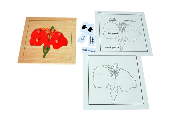 Puzzle Bitkiler(Çiçek)Çalışma kartları - Görsel 2
