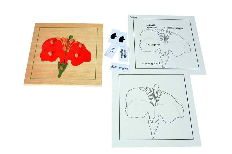 Puzzle Bitkiler(Çiçek)Çalışma kartları