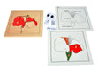 Puzzle Bitkiler(Çiçek)Çalışma kartları