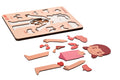 Vücudumuz Puzzle