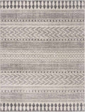 Dipui Gray Tribal Polypropylene Area Rug