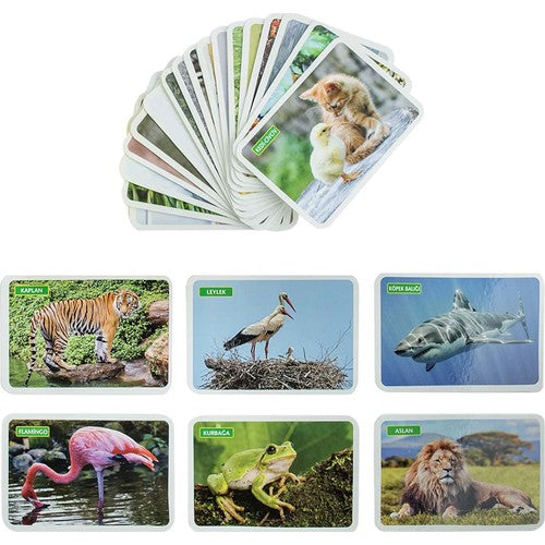 Dıytoy İlk 50 Hayvan Flash Cards 12 Ay Üzeri