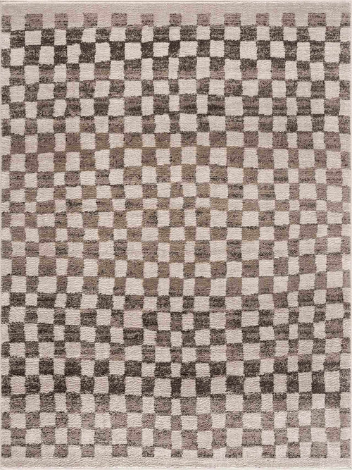 Zaboe Gray Checkered Machine Woven Polypropylene Area Rug