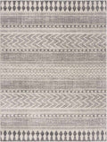 Dipui Gray Tribal Polypropylene Area Rug